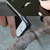 new invention: army knife IPhone case