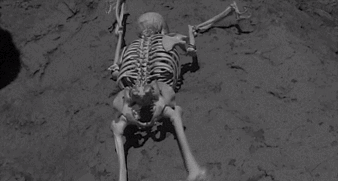 The Lost Skeleton Of Cadavra