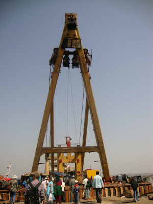 Flamingo Festival,16 April 2011,Sewri Jetty