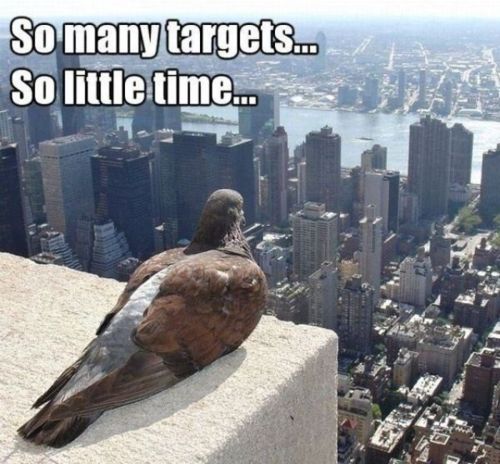 So Many Targets - So Little Time