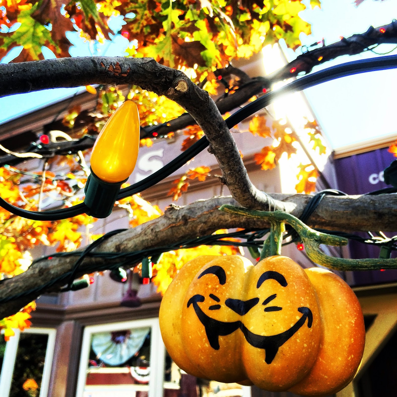 Disney Sisters The �Halloween Tree� shines at Disneyland during