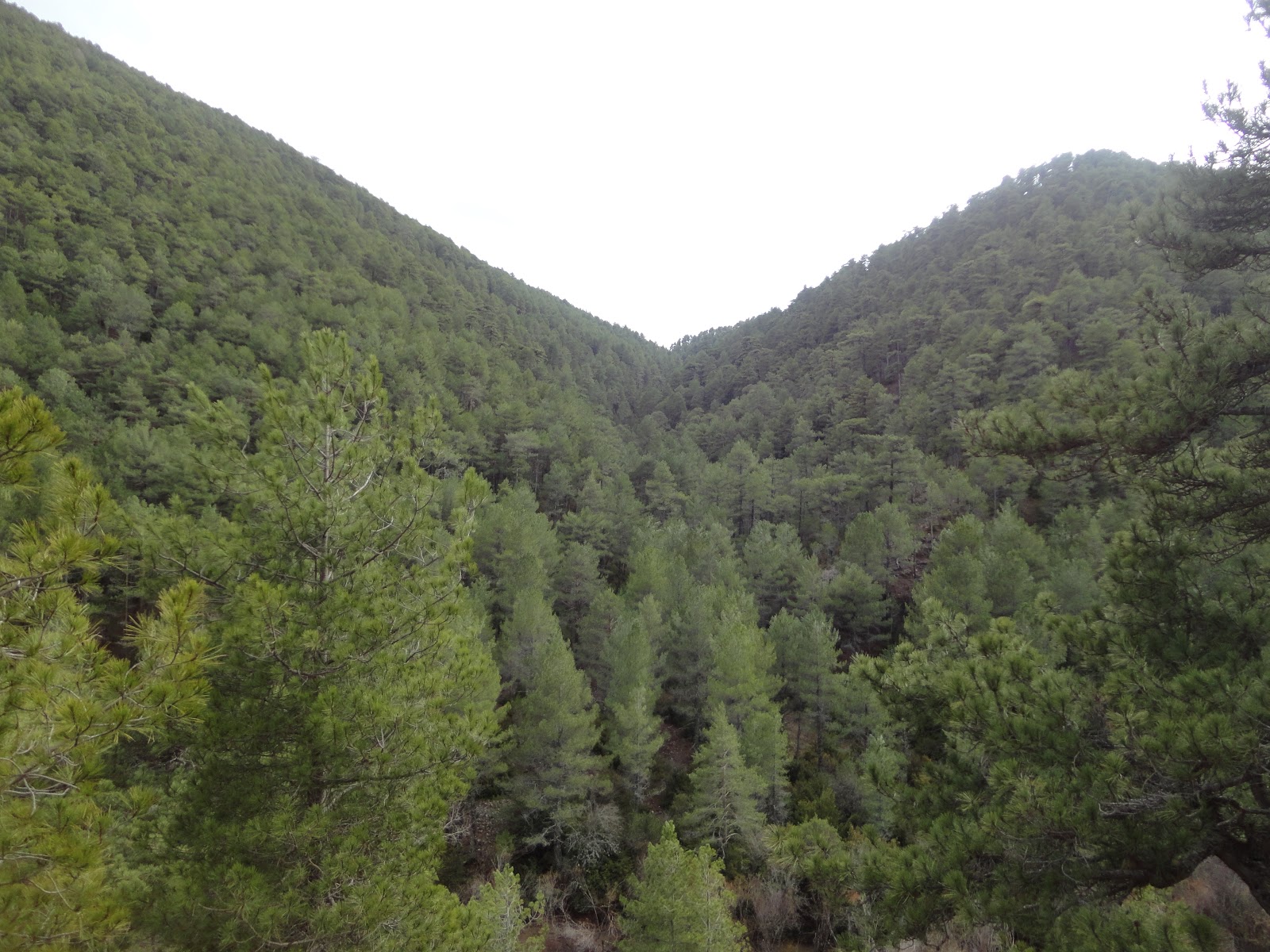 Vista dende un alto.