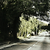 The White Lady of Balete Drive