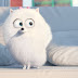 Primeiro Trailer de Pets – A Vida Secreta dos Bichos