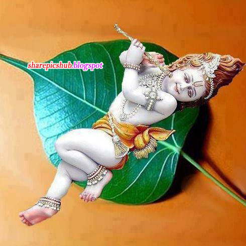 Cute Baby Krishna on Leaf Beautiful Pic | Share Pics Hub
