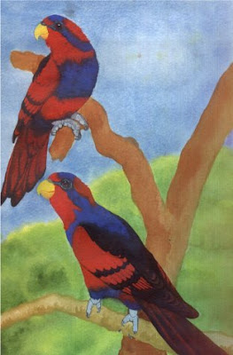 Gambar Burung Nuri
