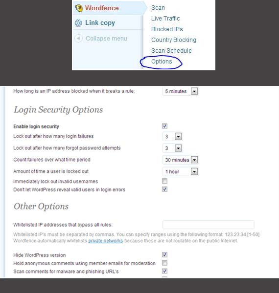 wordpress-security