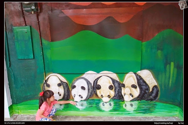 雲林斗南-石龜社區發展協會-社區貓熊立體壁畫