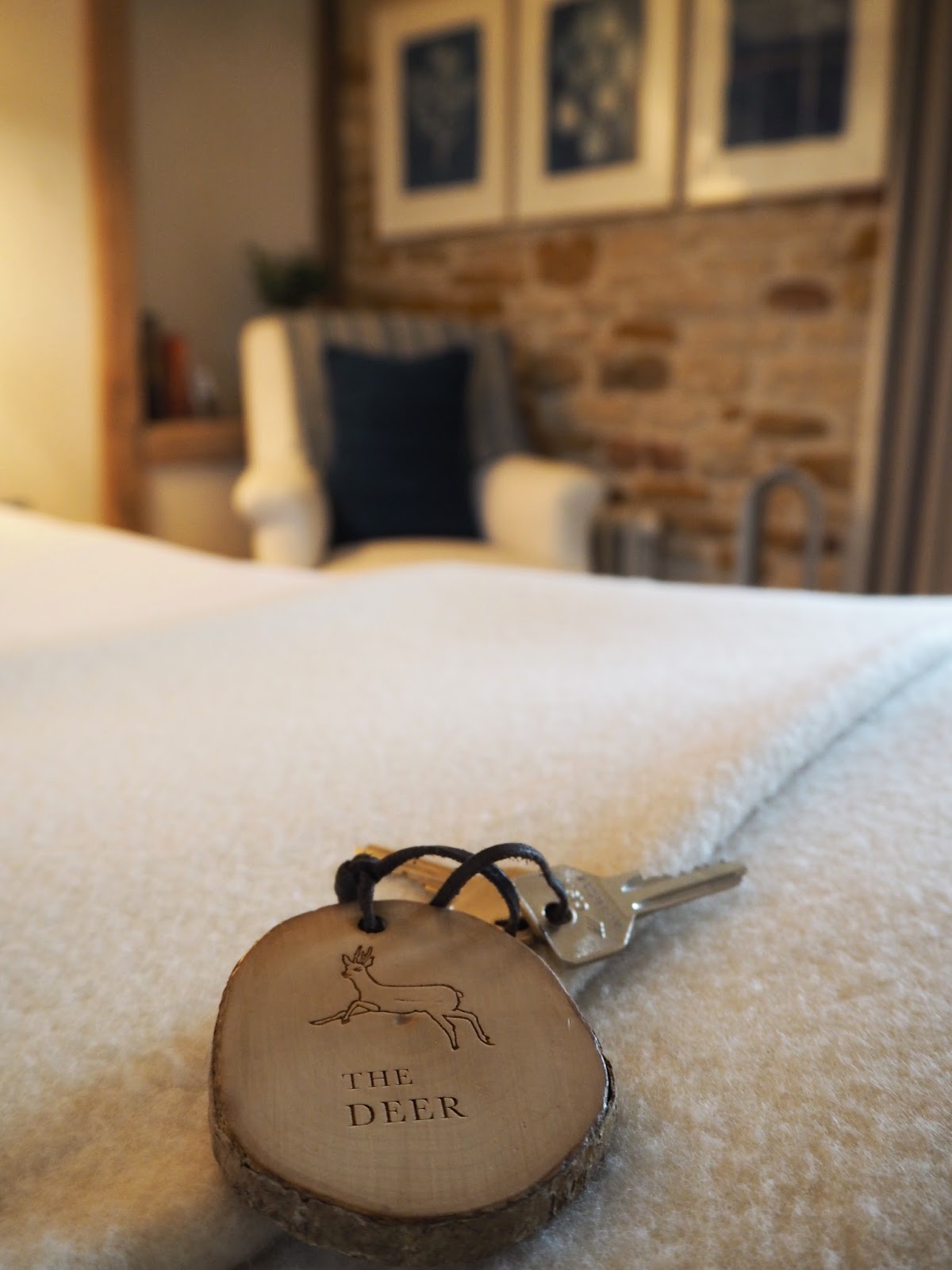 Travel the wild rabbit, the cotswolds roses and rolltops