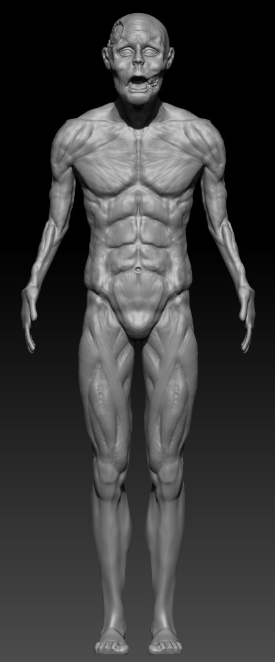 Front+body.jpg