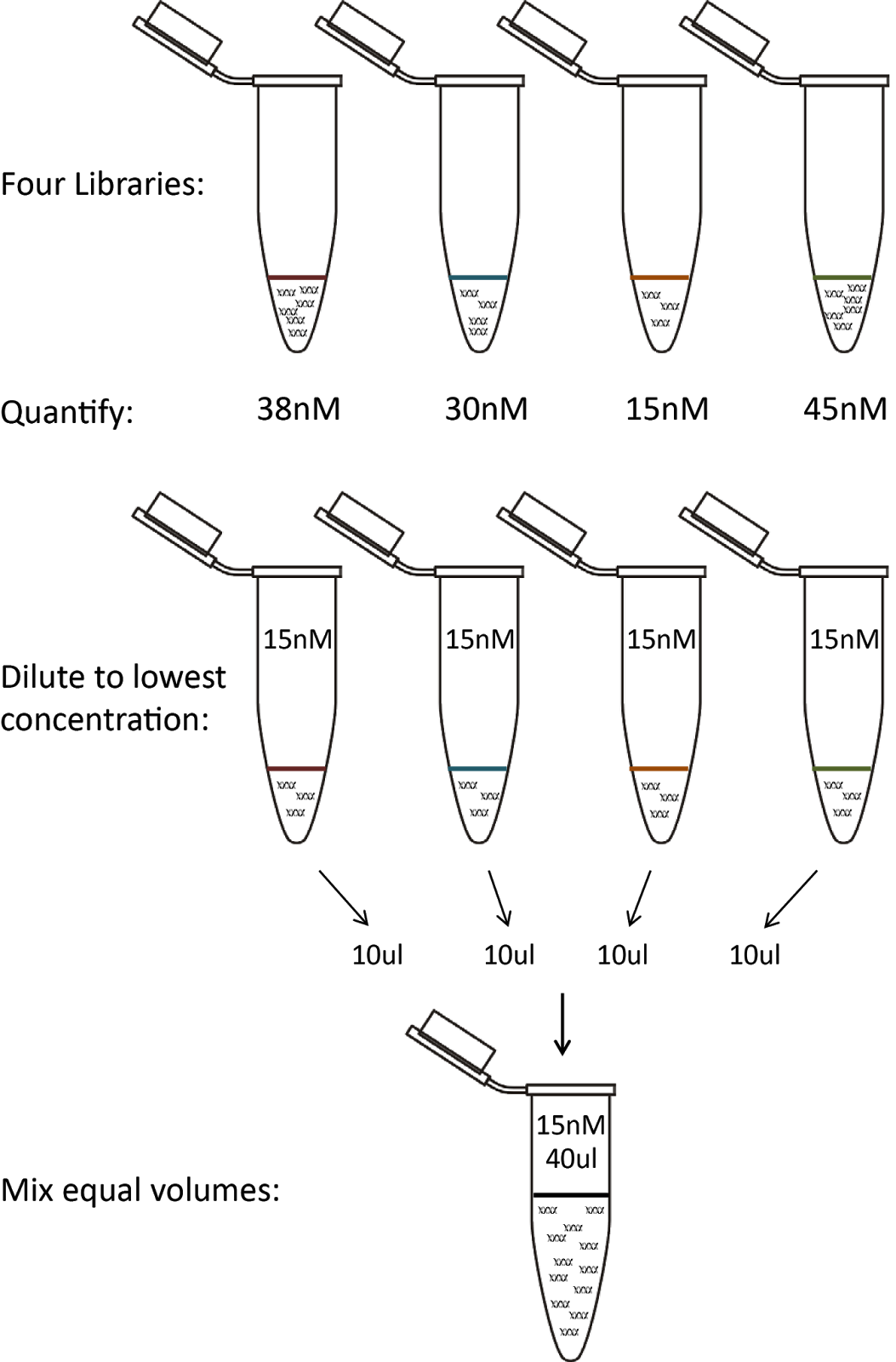 The Genomics Core blog Indexing 1 A Simple NGS Pooling HowTo Guide