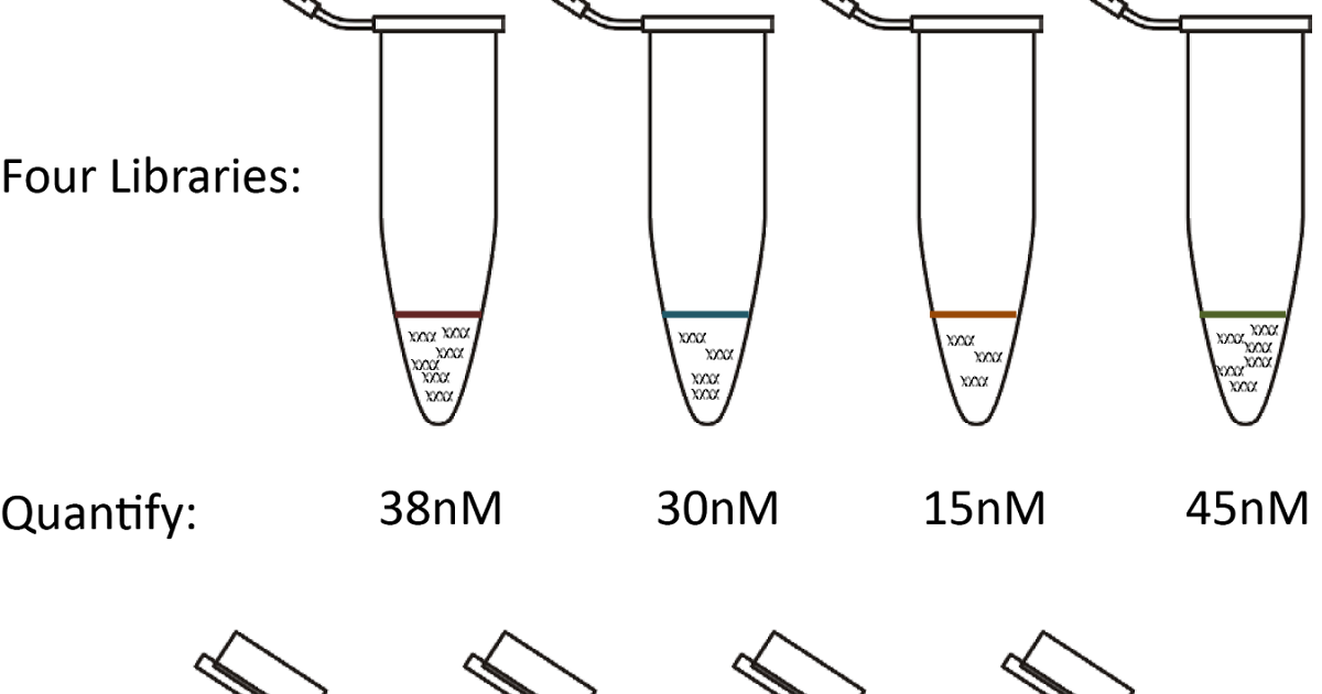 The Genomics Core blog Indexing 1 A Simple NGS Pooling HowTo Guide