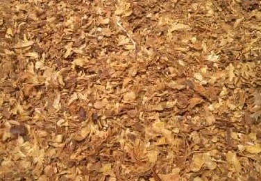 amoniasi kulit kopi sebagai pakan ternak alternatif amoniasi kulit kopi sebagai pakan ternak alternatif
