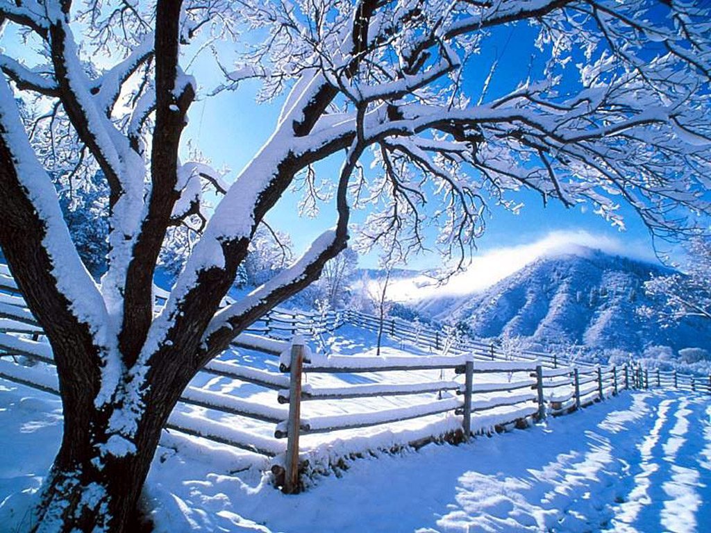 Nature Desktop Wallpaper Winter Wallpaper Express Is All About Nature Desktop Wallpaper Winter Wallpaper Express Is All About