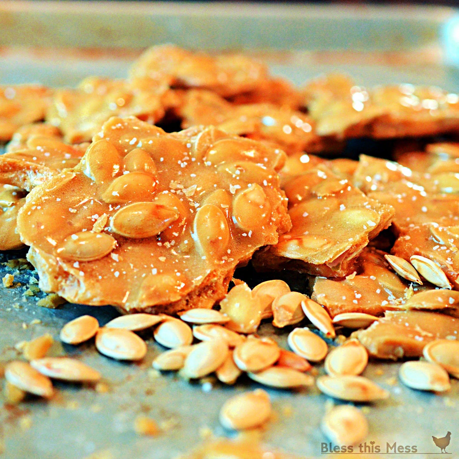 Roasted Pumpkin Seed Brittle Bless This Mess
