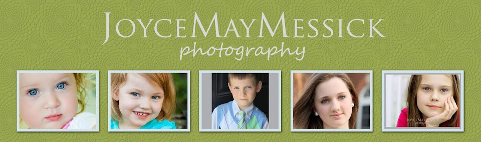JoyceMayMessick  Photography