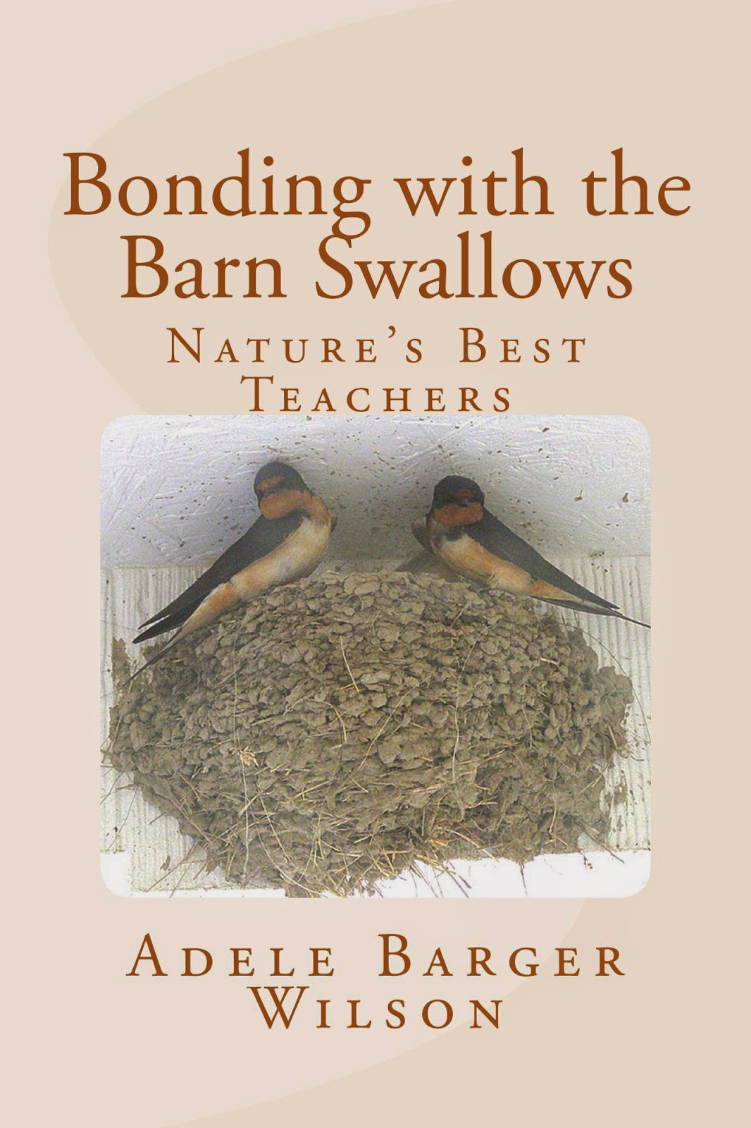 http://www.amazon.com/gp/product/1494481464/ref=as_li_tl?ie=UTF8&camp=1789&creative=9325&creativeASIN=1494481464&linkCode=as2&tag=barnswalfrie-20&linkId=JNK4O4JMGK2QOCOU