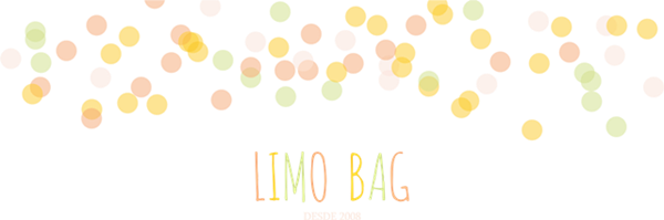 blog limo bag