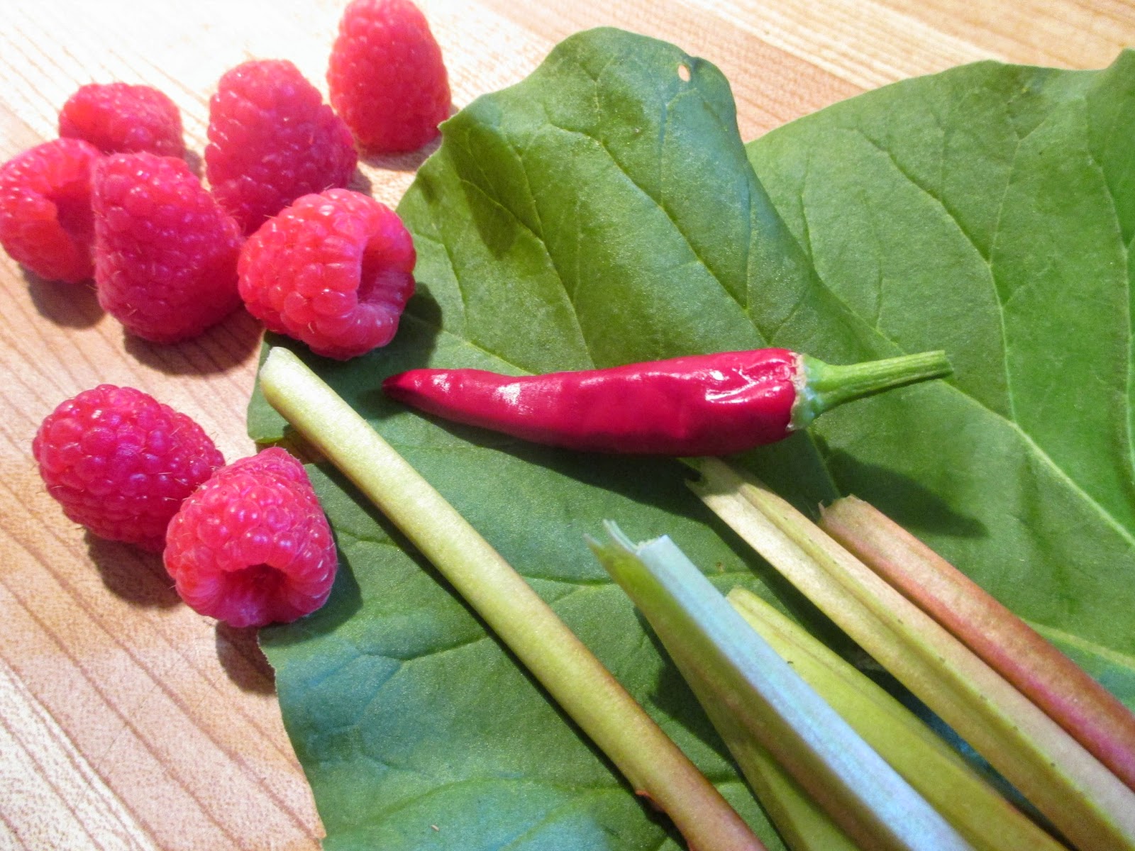 Just my Stuff Raspberry, Rhubarb and Hot Chili Jam