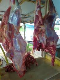 Ternak Kambing Fermentasi Jerami Pakan Penggemukan Ternak Kambing Fermentasi Jerami Pakan Penggemukan