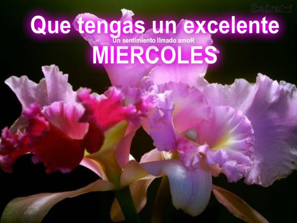 Un sentimiento llamado amoR