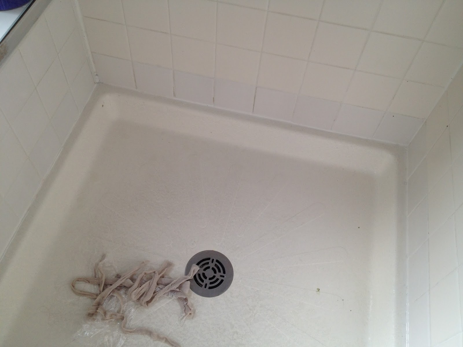 The DIY Guinea Pig Goodbye Shower Mold