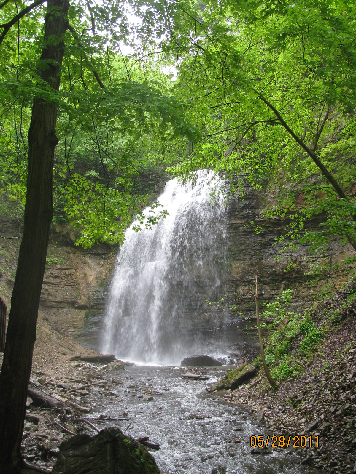tiffany falls