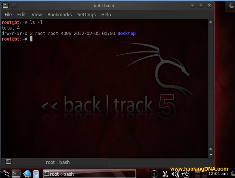 HackingDNA How to see files and directories on Linux