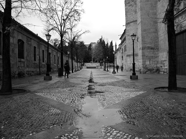 Ursulas, una de las mas bellas calles de Salamanca