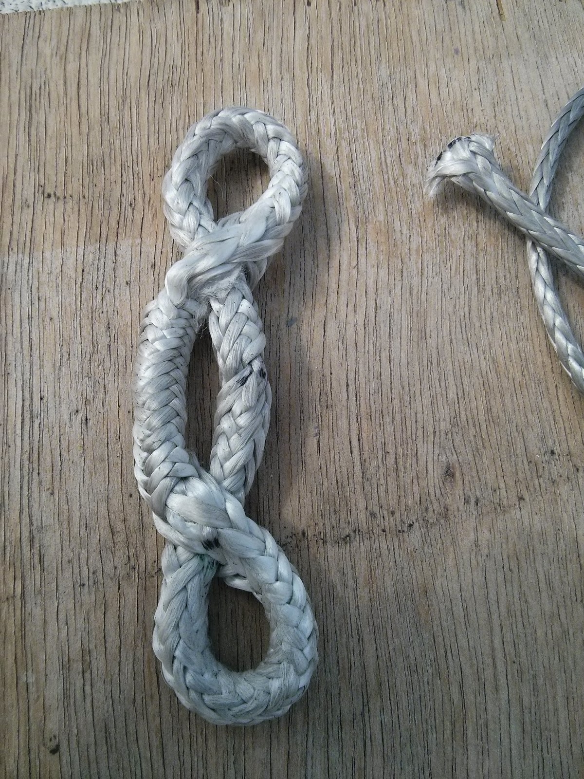 Yacht Auriga Running backstays