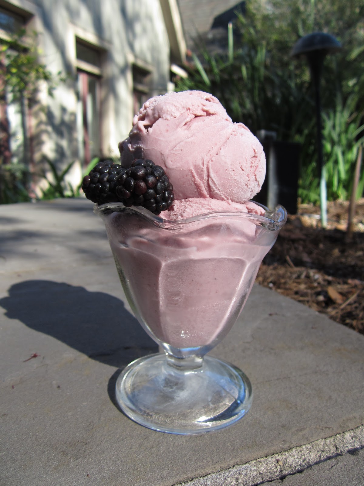 A Sue Chef Homemade Blackberry Gelato