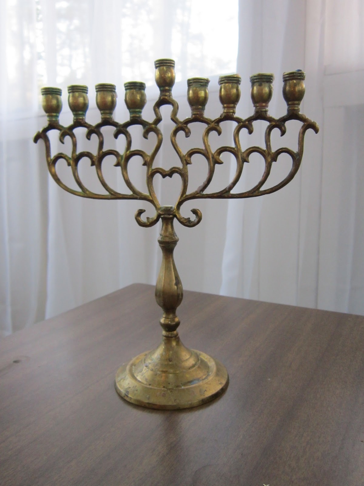Design Megillah Botanical Menorah