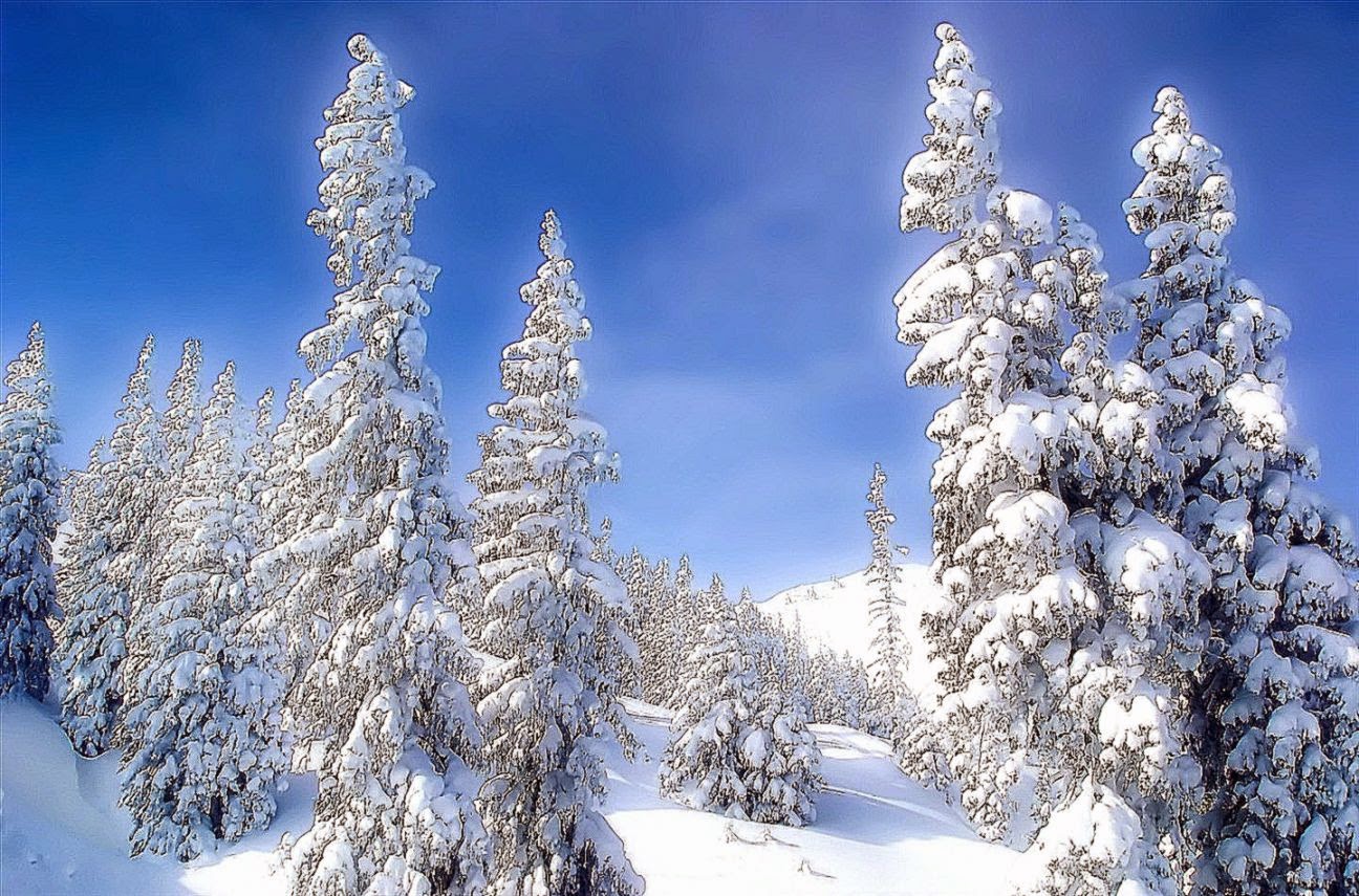 Beautiful Winter Landscape Pictures Wallpaper