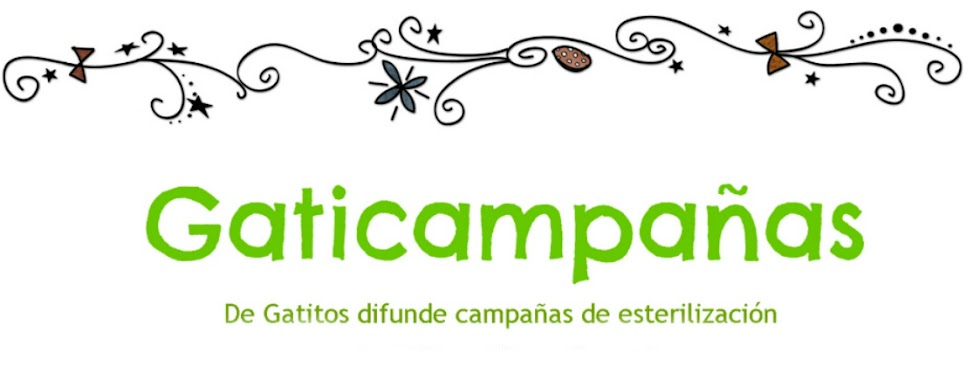 Gaticampañas