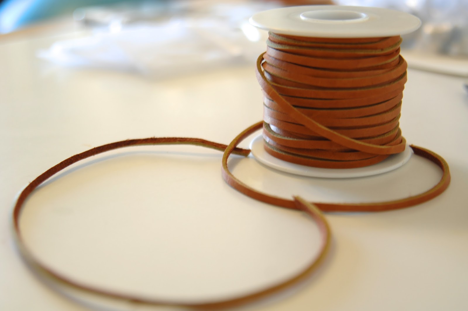 Kiwi At Heart DIY Leather Luggage Tags