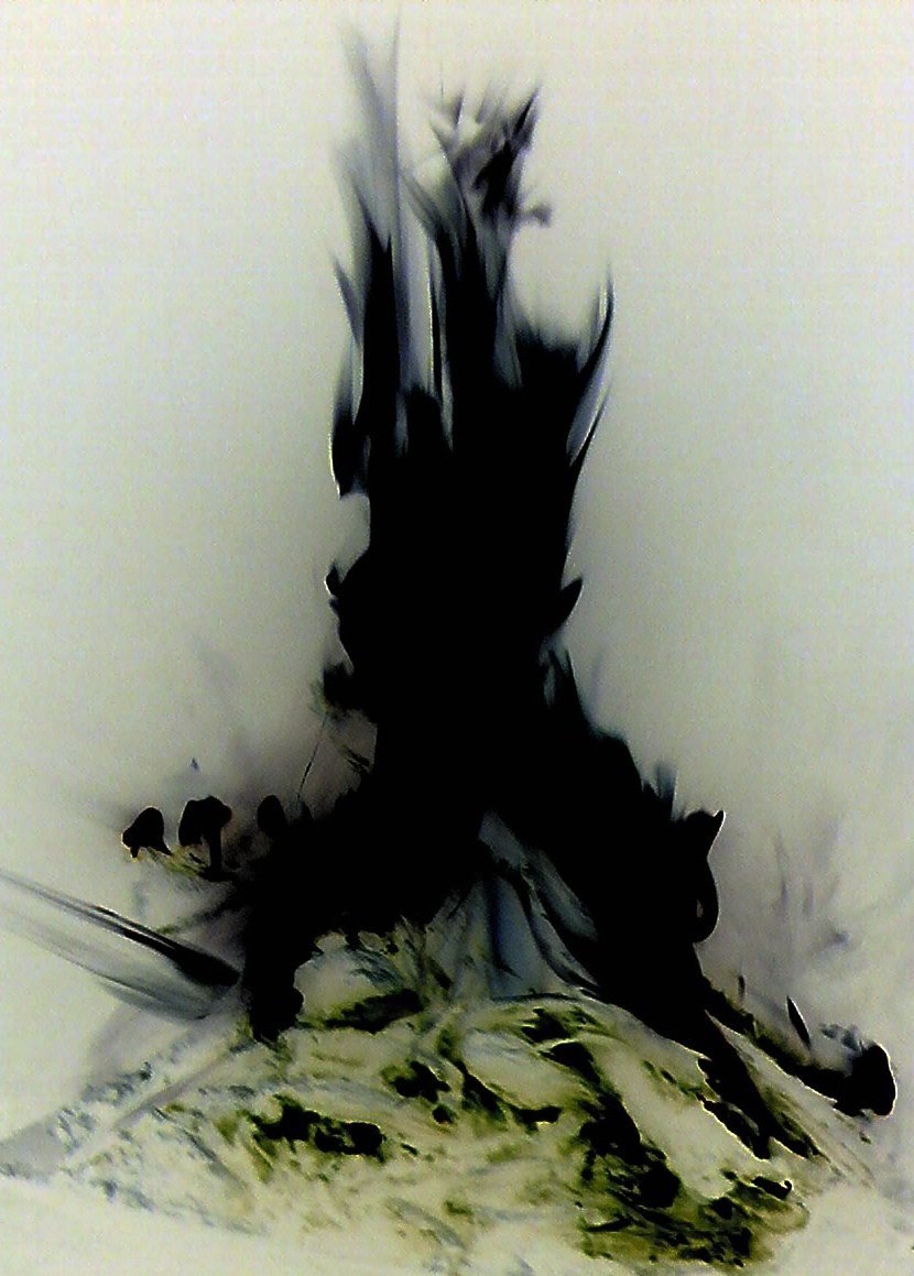 Leicester's Ramble June 2015