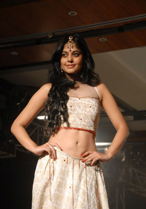 bindhu madhavi bindhu madhavi new spicy actress pics