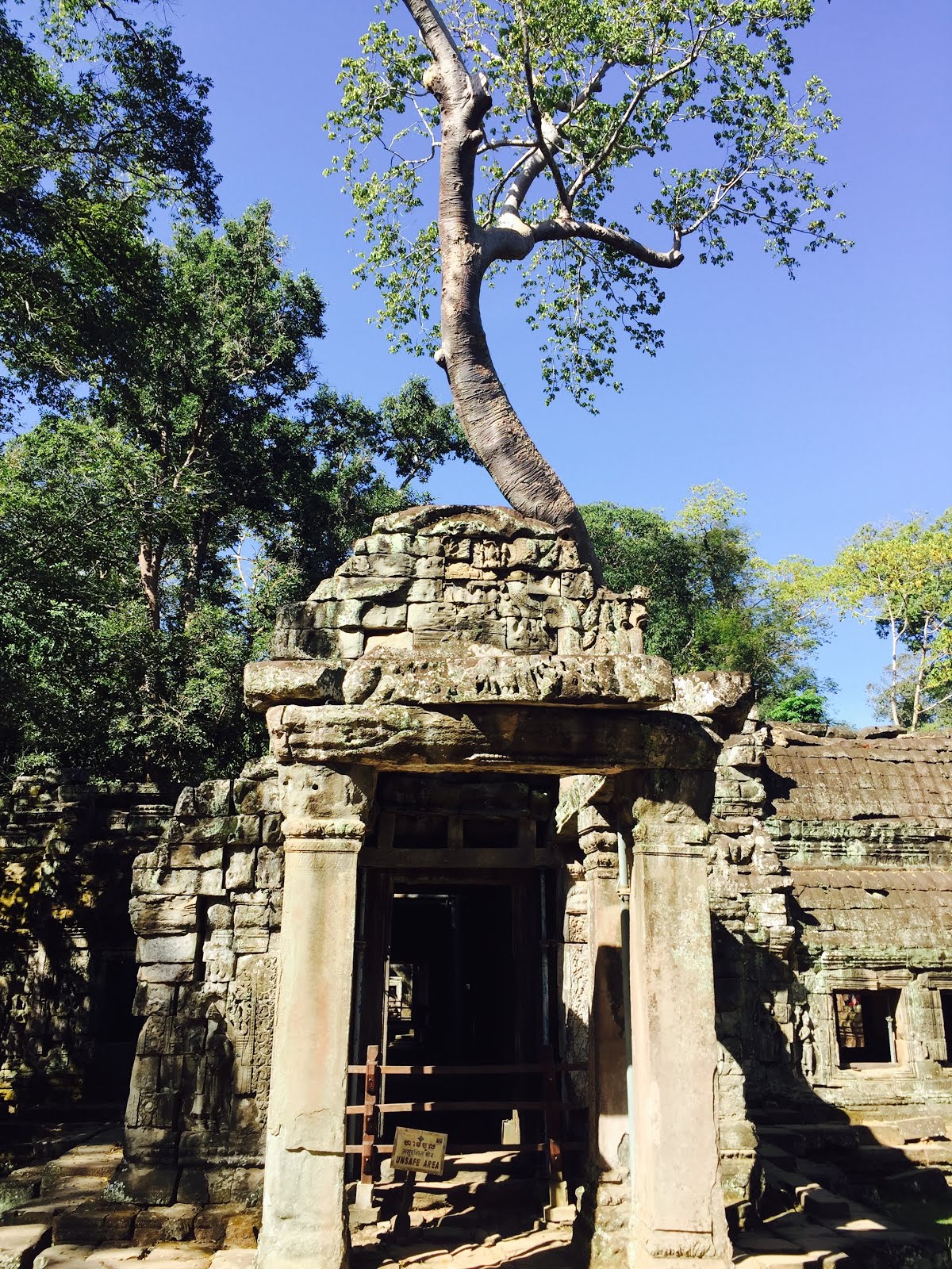 Temple Ruins in Cambodia