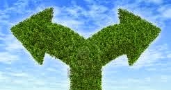 You Have Placed Me In Dilemma.