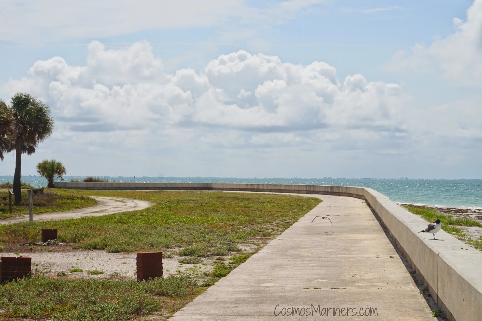 History, Picnics, and a Surrey with the Fringe on Top Fort De Soto