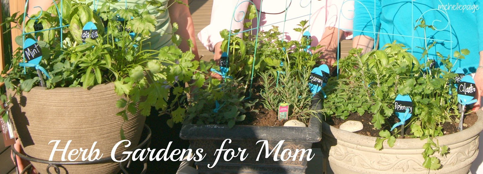 michelle paige blogs Mother's Day Party