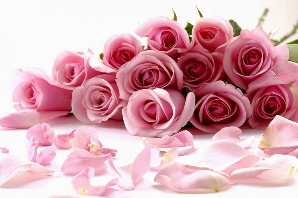flowers pictures flowers pictures for great florist