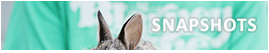 SNAPSHOTS