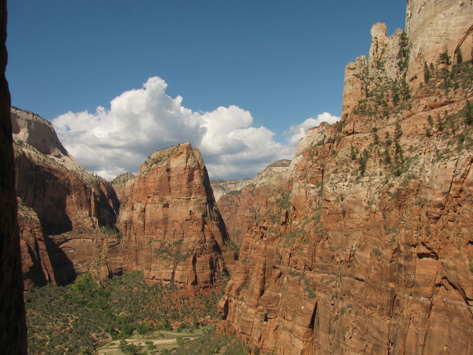 Rachel's Adventures Zion TR for Shune's Buttress