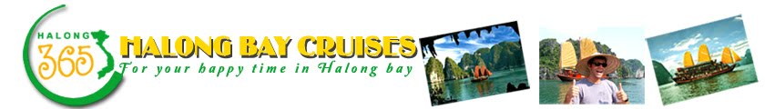 Halong bay cruises Info