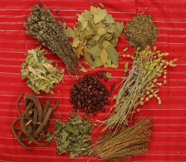 TRAIN OUT PAIN Herbs and Spices for Antioxidants