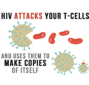 HIV kills T cells and monocyes HIV kills T cells and monocyes