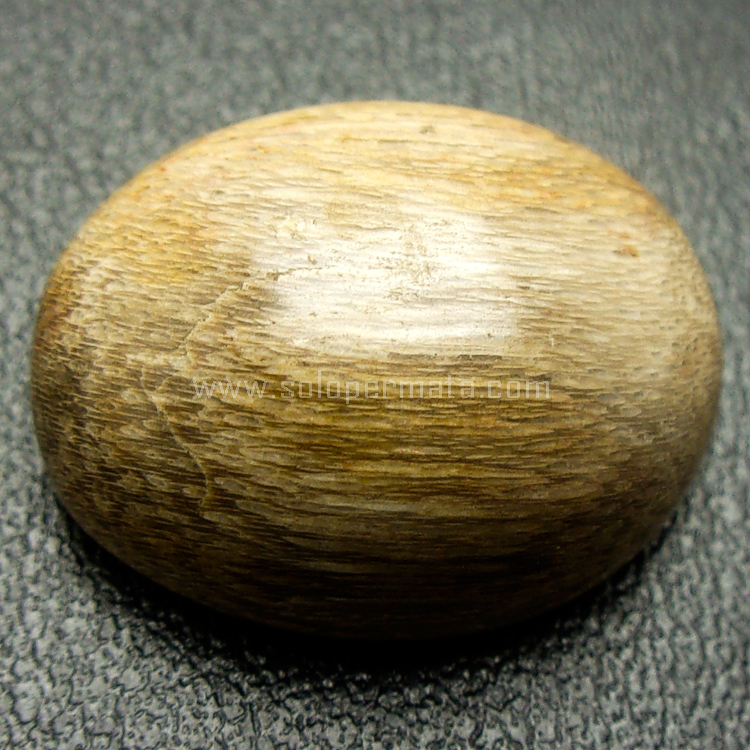 jual batu permata fosil kayu jati sp775 jual batu permata fosil kayu jati sp775
