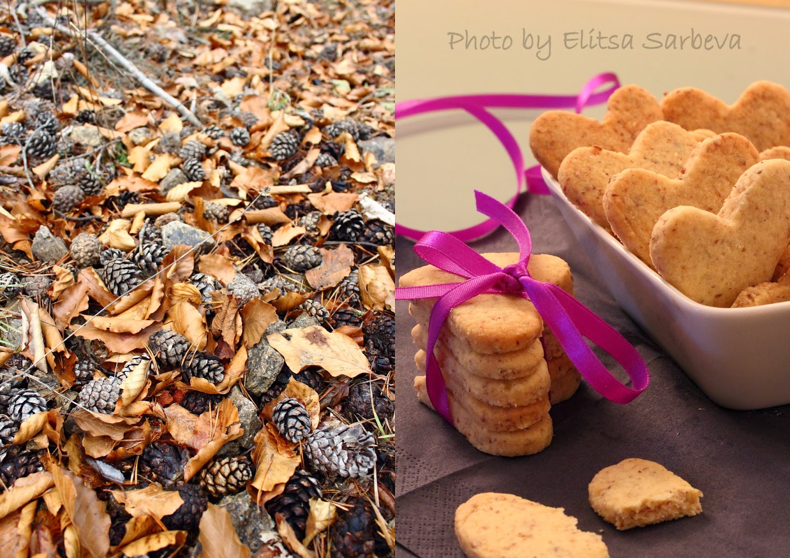 http://cakeandpancake.blogspot.com/2014/02/blog-post_14.html