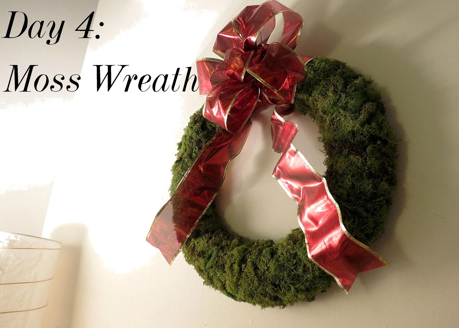 Screwdrivers and Stethoscopes {25 Days of Christmas} 3 (or less) Moss